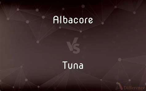 Albacore Vs Tuna — Whats The Difference