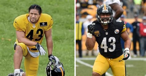 Troy Polamalu Nationality And Ethnicity Where Is The Pro NFL Hall Of