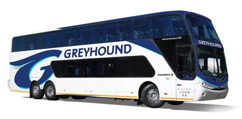 Online Greyhound Bus Bookings Greyhound Dreamliner
