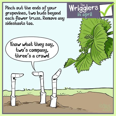 A Week Of Gardening Cartoons And Tips For May Sillypics