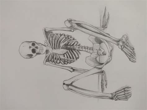 Drawing Sketch Of Skeletons How To Sketch Drawing Idea