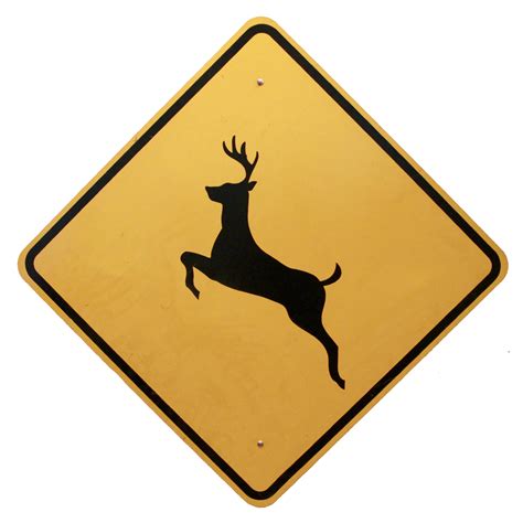 Deer Crossing Warning Sign Air Designs