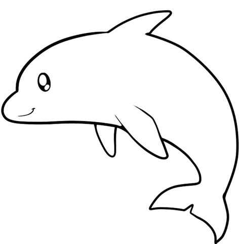 Animal Outlines To Color Clipart Best