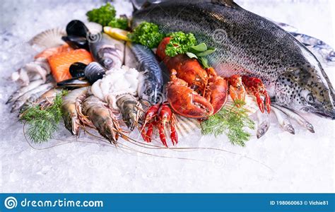 Fresh Seafood On Ice Background Front View Stock Image Image Of