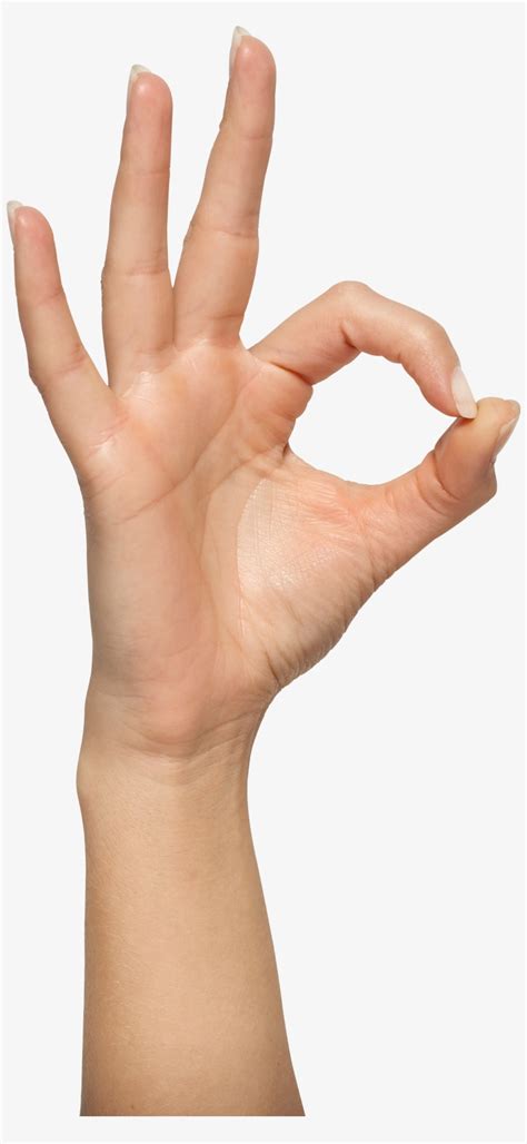 Download Three Finger Hand Png Image Ok Hand Sign Png Transparent