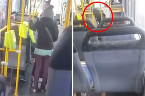 melbourne bus in public poo horror as woman squats and defecates daily star