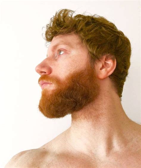 Ginger Genes With Images Ginger Men Ginger Gene Ginger Beard