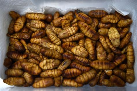 Thaïlande Les Insectes Prisés Par Les Gourmets Delphine Thouvenot Et