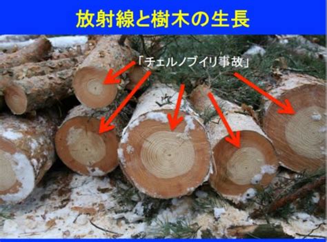 東日本大震災での福島原発事故を契機に脱原発の旗手となった小泉氏は「ピンチはチャンス。 東京も入る。 住民約５０００万人が避難しなくちゃいけない。 避難しろって言ってもできない。 自分なりに勉強していくと、日本の原発は安全、コスト安い、ｃｏ２を出さないクリーンエネルギー。 いよいよ放射能汚染の実態が出始めた - そりゃおかしいぜ第三章