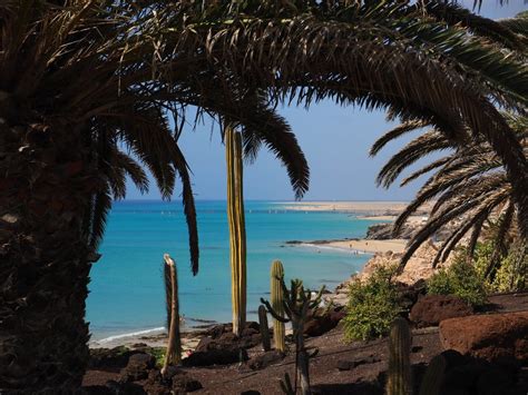 Cosa Fare E Cosa Vedere A Fuerteventura Idee Di Viaggio Viaggi Asia