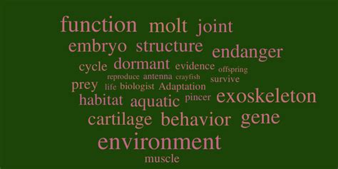 Structures Of Life Word Cloud Worditout
