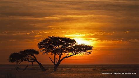 Etosha National Park At Sunrise Namibia Africa Beautiful Photos Of