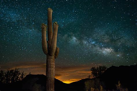 Desert Night Sky Stock Photos Pictures And Royalty Free Images Istock