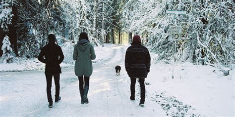 16 Magical Winter Walks To Take In And Around Toronto Narcity