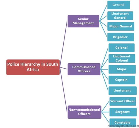 Police Rank Hierarchy In South Africa Hierarchy Structure