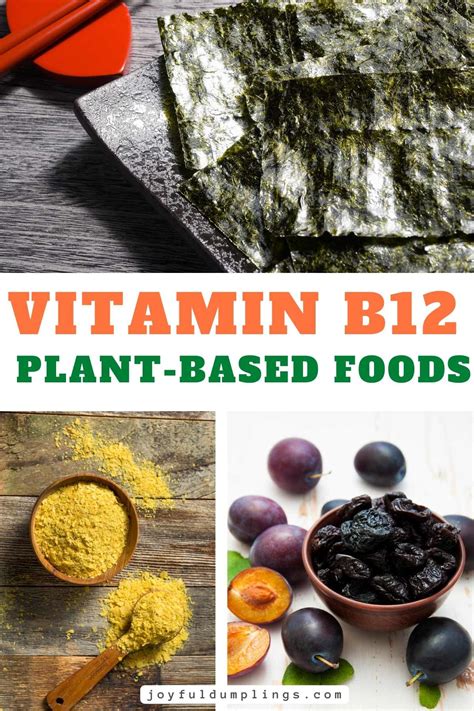 Top Vitamin B12 Rich Fruits And Vegetables Good Sources Of Vitamin B12