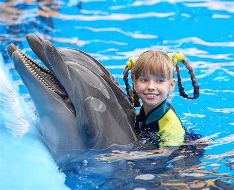 Swimming With Dolphins In Orlando The Ultimate Holiday Experience