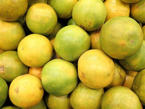 Closeup Of Fresh Green Oranges Stock Image Image Of Fresh Color