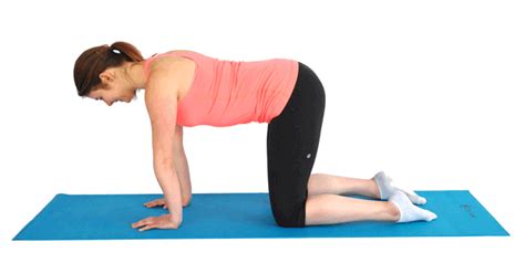 Cat and camel exercises are great for stretching and strengthening muscles of the back, especially the lower back. Think Long and Lean with this Yoga Routine | SparkPeople