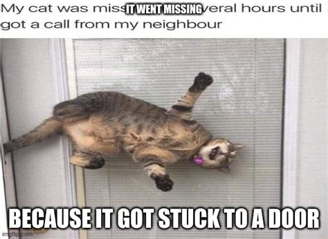 Cat Stuck To The Door Imgflip