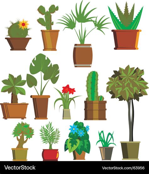 Plants Royalty Free Vector Image Vectorstock