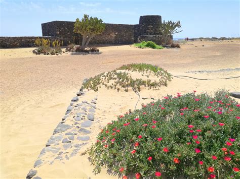 Caleta De Fuste Fuerteventura Fuerteventuraguidecom