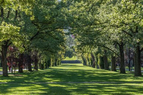 One big discovery might have changed evolutionary history forever