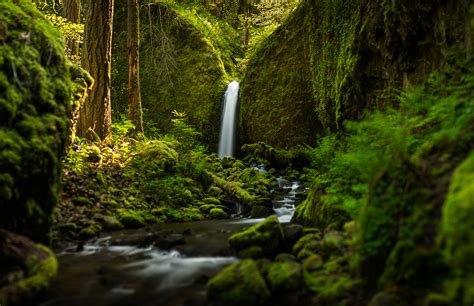 Oregon Waterfall Forest River Mood Wallpaper 2048x1325