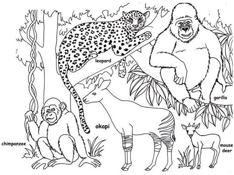 Endangered Species Drawing At Getdrawings Free Download