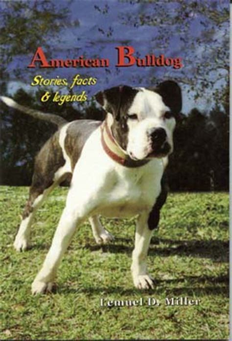 The famous johnson american bulldog johnson's incredible mean machine was 30% english bulldog and foundation stock for most johnson american bulldogs today. The Original American Bulldog - Joshua Kennels