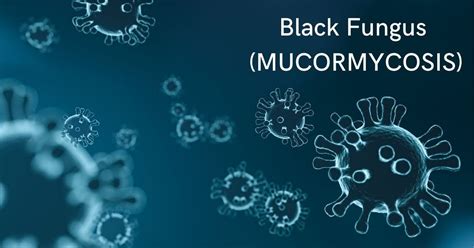 Mucormycosis Black Fungus Mucormycosis Commonly Known As The By