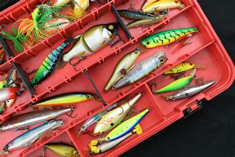Most Common Types Of Fishing Lures All You Need To Know
