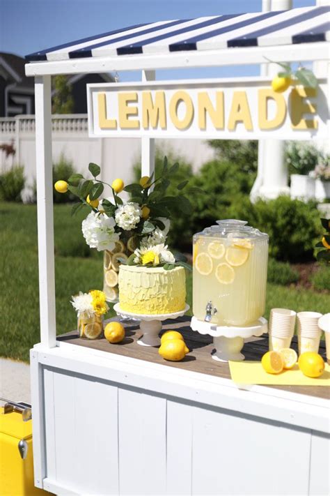 the most adorable summer ready diy multi use lemonade stand in 2020 lemonade stand lemonade