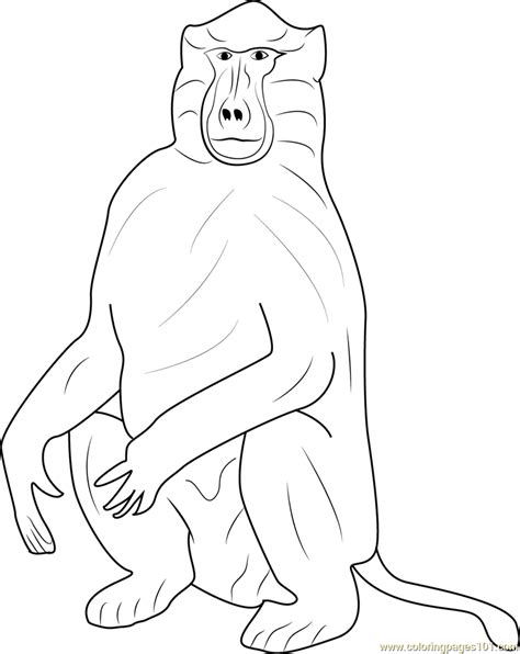 Baboons Coloring Page Free Baboon Coloring Pages