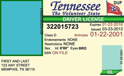 Drivers License Template Editable Word