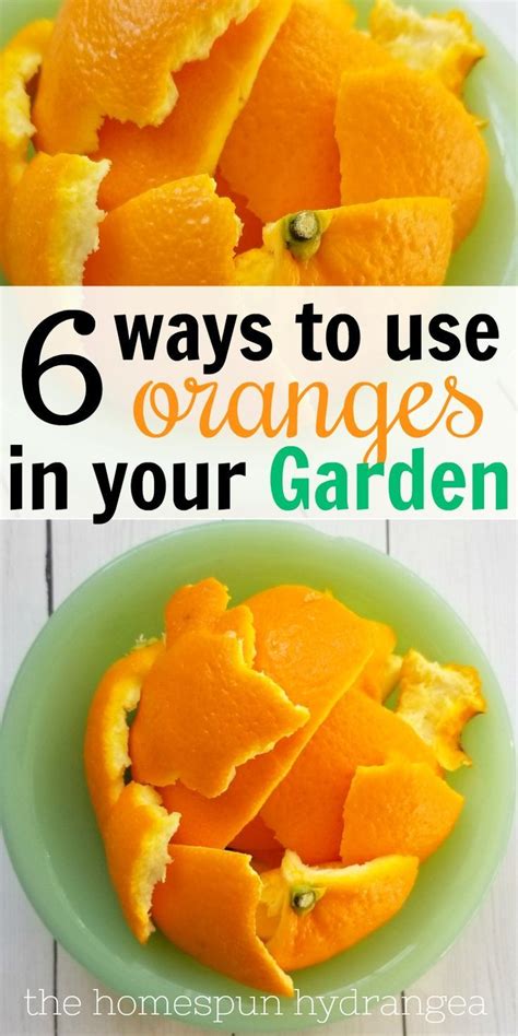 Ways To Use Orange Peels In Your Garden The Homespun Hydrangea In