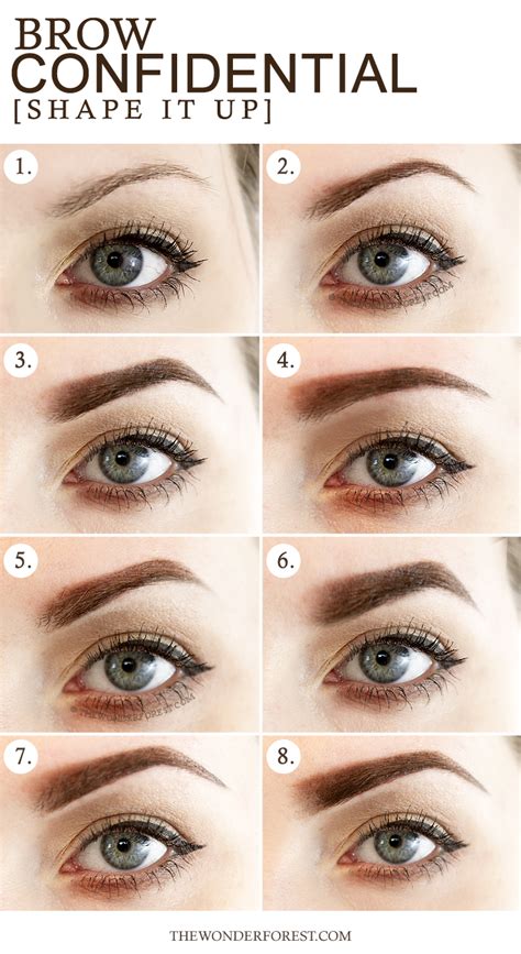 Brow Confidential Different Eyebrow Shapes Wonder Forest