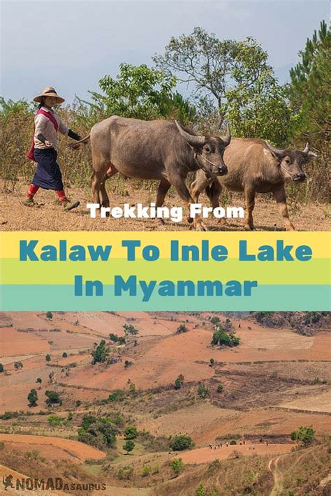 Here Is All You Need To Know About Trekking From Kalaw To Inle Lake In