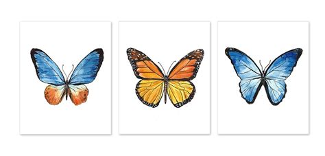 Monarch Butterfly Easy Watercolor Paintings Of Butterflies Deiafa Ganello