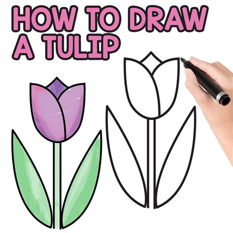 Tulip Drawing Easy Step By Step At Drawing Tutorials