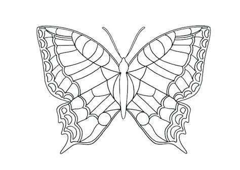 Blue Morpho Butterfly Coloring Page At Free