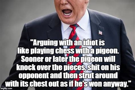 Arguing With An Idiot Is Like Playing Chess With A Pigeon Imgflip