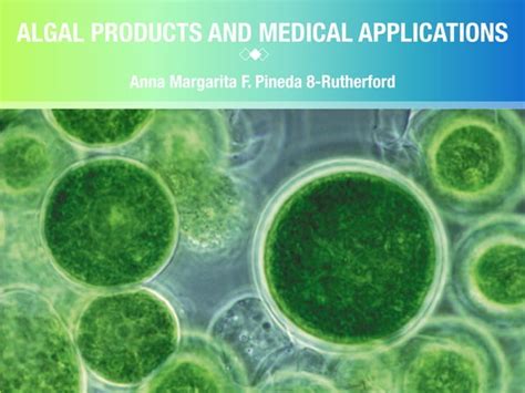 Algae Products And Their Medical Applications