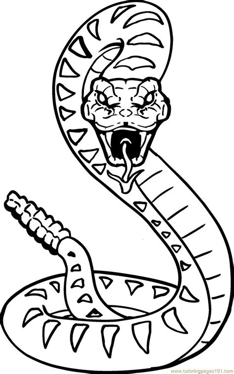 King Cobra Snake Coloring Pages Download And Print For Free