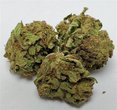 COUCH POTATO BY CATCH ME OUTSIDE — Capturing Eden INC