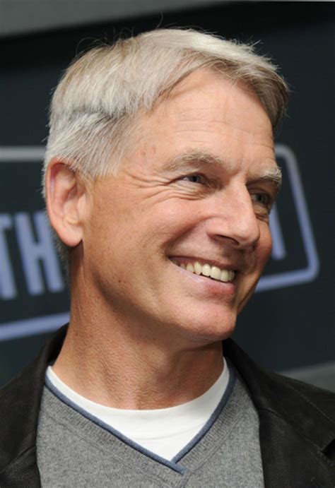 Mark Harmon Photos Tv Series Posters And Cast