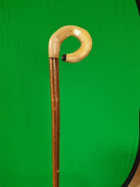 Rams Horn Walking Sticks Dorset Sticks