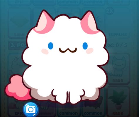 Does anyone know what it opens? Posh | Cat Game - The Cat Collector! Wiki | Fandom