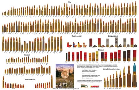 Ammo And Gun Collector Complete List Of All Calibers Of Ammo Ever Made