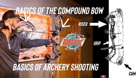 Basics Of The Compound Bow And Basics Of Archery Shooting Youtube